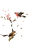 patymirabelle oiseau - Nemokamas animacinis gif animuotas GIF
