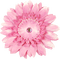 kikkapink deco scrap pink bling flower - ilmainen png animoitu GIF
