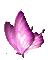 Y.A.M._Fantasy butterfly purple - 無料のアニメーション GIF アニメーションGIF