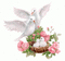 Colombes et nid - roses rose - GIF animado gratis