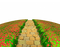 stone-path and flower-----sten gång-blommor - gratis png animerad GIF