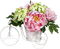 Kaz_Creations Deco Flowers Plant Colours - Free PNG Animated GIF