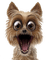 loly33 chien - png grátis Gif Animado