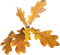 deco scrap autumn ftards sm3 fall SiMpLyM3 - Free PNG Animated GIF