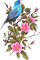 Птица на цветах - png gratis GIF animasi