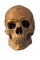 Kaz_Creations Skull - PNG gratuit GIF animé