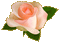 Vanessa Valo _crea =  rose glitter - Gratis geanimeerde GIF geanimeerde GIF