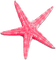 soave deco summer scrap starfish pink - безплатен png анимиран GIF