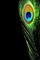 Kaz_Creations Deco  Backgrounds Background Colours - фрее пнг анимирани ГИФ