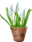 Kaz_Creations Flowers-Fleurs-Vase - бесплатно png анимированный гифка