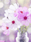 Background Flowers - GIF animé gratuit GIF animé