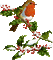 Christmas birds bp - Nemokamas animacinis gif animuotas GIF