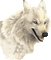 wolf - Бесплатный анимированный гифка