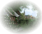 Landscape Transparent - nemokama png animuotas GIF
