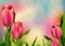 pink tulips animated background - Darmowy animowany GIF animowany gif