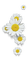 daisies Bb2 - zadarmo png animovaný GIF