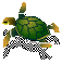 tortoise - GIF animé gratuit GIF animé