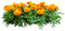 Arbusto  de flores - png gratis GIF animasi