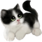 sweet cat - png gratis GIF animasi