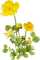 Flowers yellow bp - kostenlos png Animiertes GIF