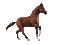 ani-häst---horse - GIF animé gratuit GIF animé