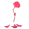 Red Rose - GIF animado grátis Gif Animado