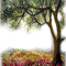 tree  flower spring dubravka4 - bezmaksas png animēts GIF