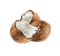 Coconut Milk Beige White - Bogusia - zadarmo png animovaný GIF