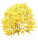 Siepe di Forsizia giallo - бесплатно png анимированный гифка