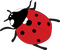 ladybug leppäkerttu sisustus decor - PNG gratuit GIF animé
