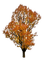 tree - darmowe png animowany gif