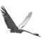 Лебедь - 免费PNG 动画 GIF