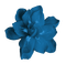 azul - δωρεάν png κινούμενο GIF