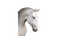 Lasie - безплатен png анимиран GIF