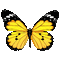 papillon-butterfly-jardin - GIF animé gratuit GIF animé