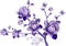 purple flower - bezmaksas png animēts GIF