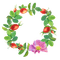 aquarelle, été, fleur, Orabel - Free PNG Animated GIF