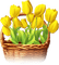 soave deco spring flowers tulips basket - png grátis Gif Animado