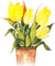 soave deco vase flowers tulips garden spring - δωρεάν png κινούμενο GIF