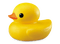 ducky - png grátis Gif Animado
