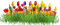 Blumen - Free PNG Animated GIF