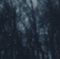 Fond.Background.Winter.Hiver.Victoriabea - Darmowy animowany GIF animowany gif