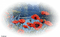 paysage ( - Free PNG Animated GIF