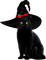 Cat.Witch.Black.Red - PNG gratuit GIF animé