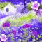 JE   / BG. animated.spring.purple.idca - GIF animé gratuit