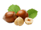 Nuts - Bogusia - δωρεάν png κινούμενο GIF