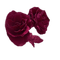 minou-flowers-roses-vinröda rosor - besplatni png animirani GIF