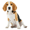 chien dog - ingyenes png animált GIF
