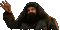 Hagrid - GIF animé gratuit GIF animé