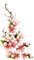 vintage flowers deco - gratis png geanimeerde GIF